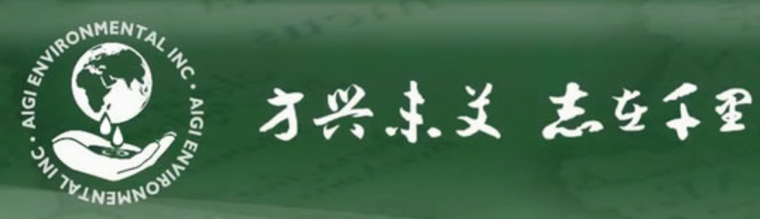 AIGI Environmental Incorporated